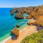 Gil Vicente Guest